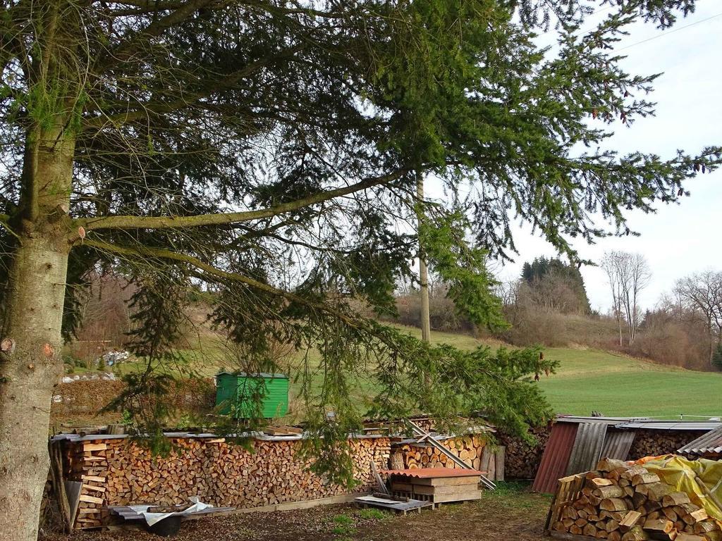 Ferienwohnung Am Weinberg Ostrach Exterior foto