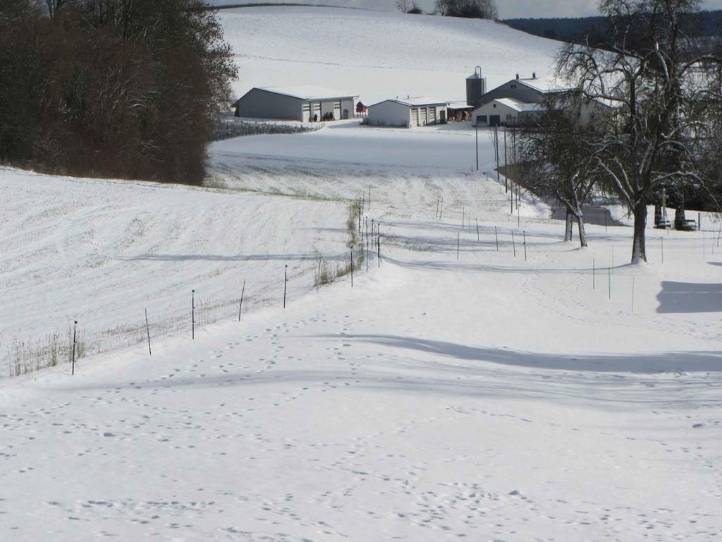 Ferienwohnung Am Weinberg Ostrach Exterior foto