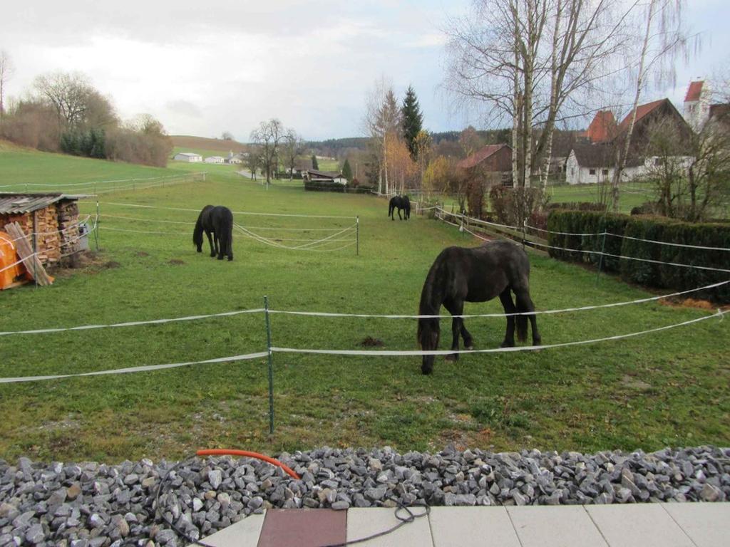 Ferienwohnung Am Weinberg Ostrach Exterior foto